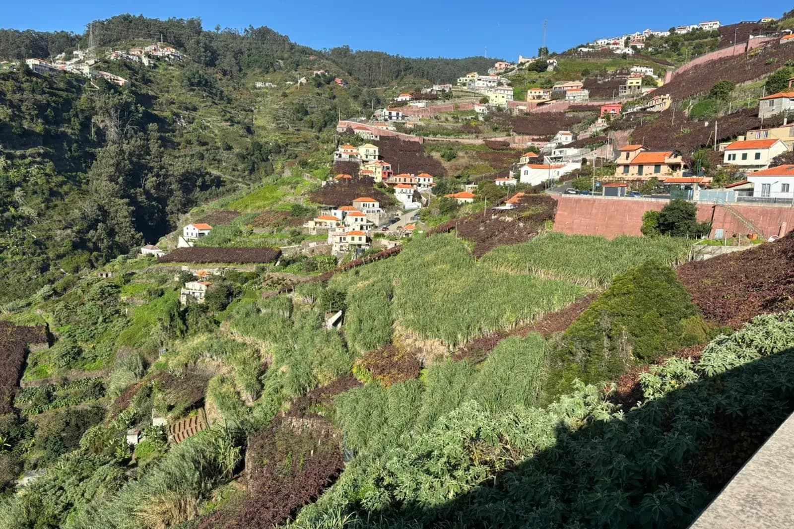 Off-road jeep adventure on a half-day Madeira tour