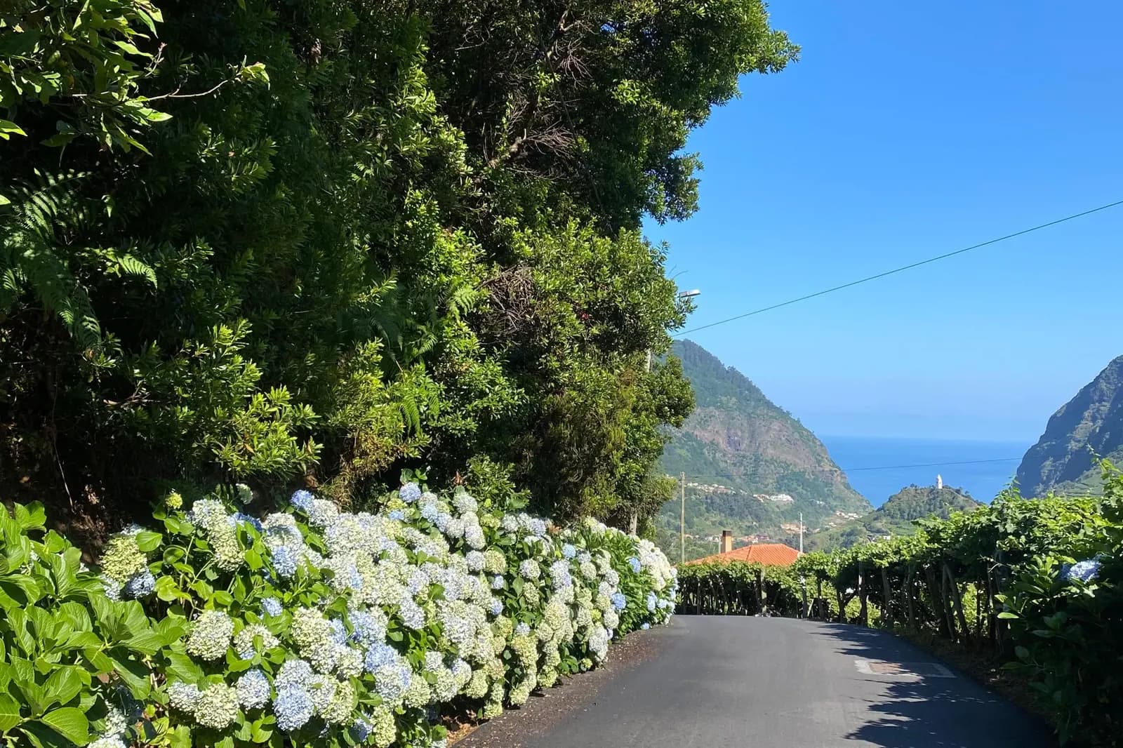 Scenic road and layered views in West Madeira