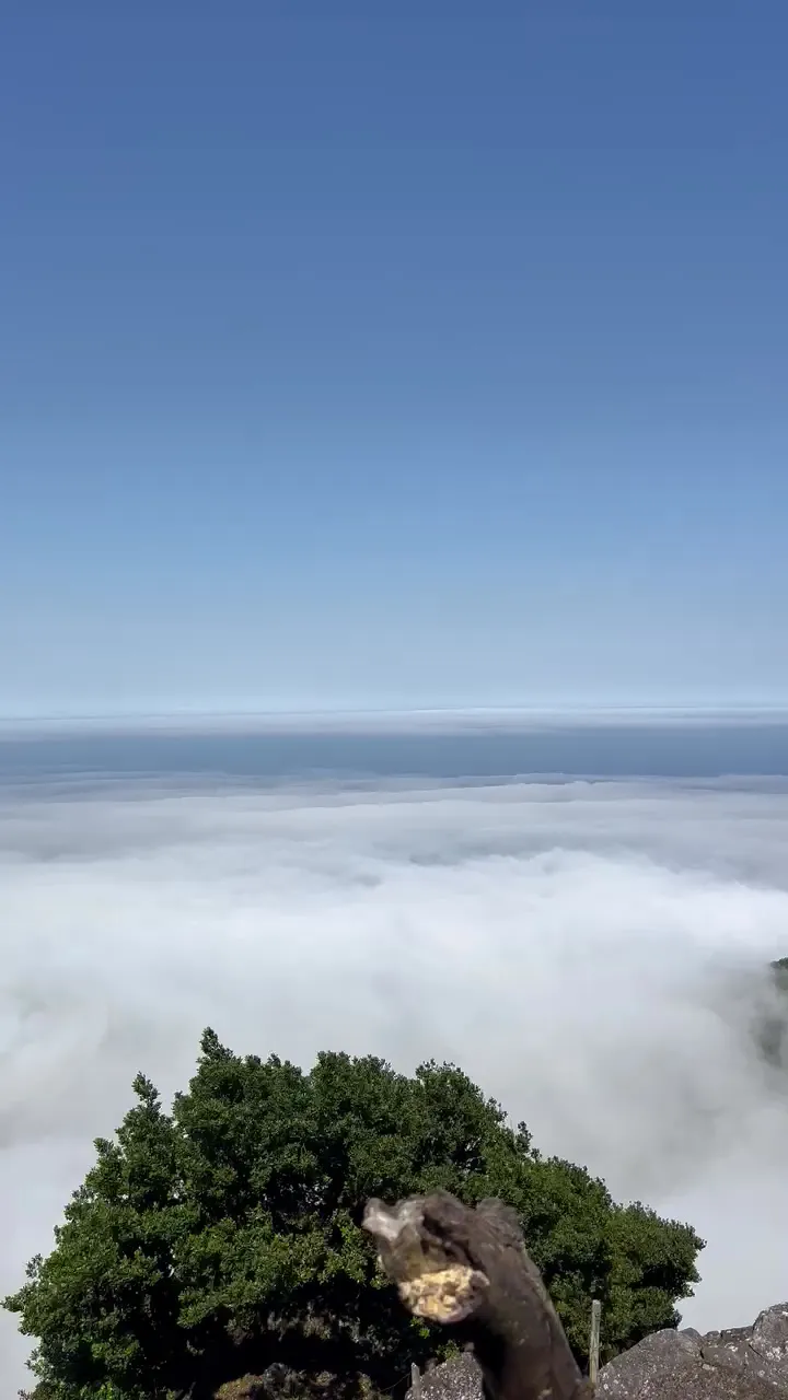 Portrait crop of a Madeira tour moment