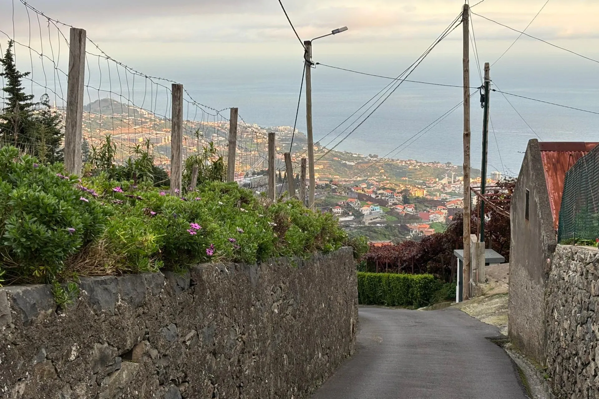 Madeira jeep tour on a half-day route